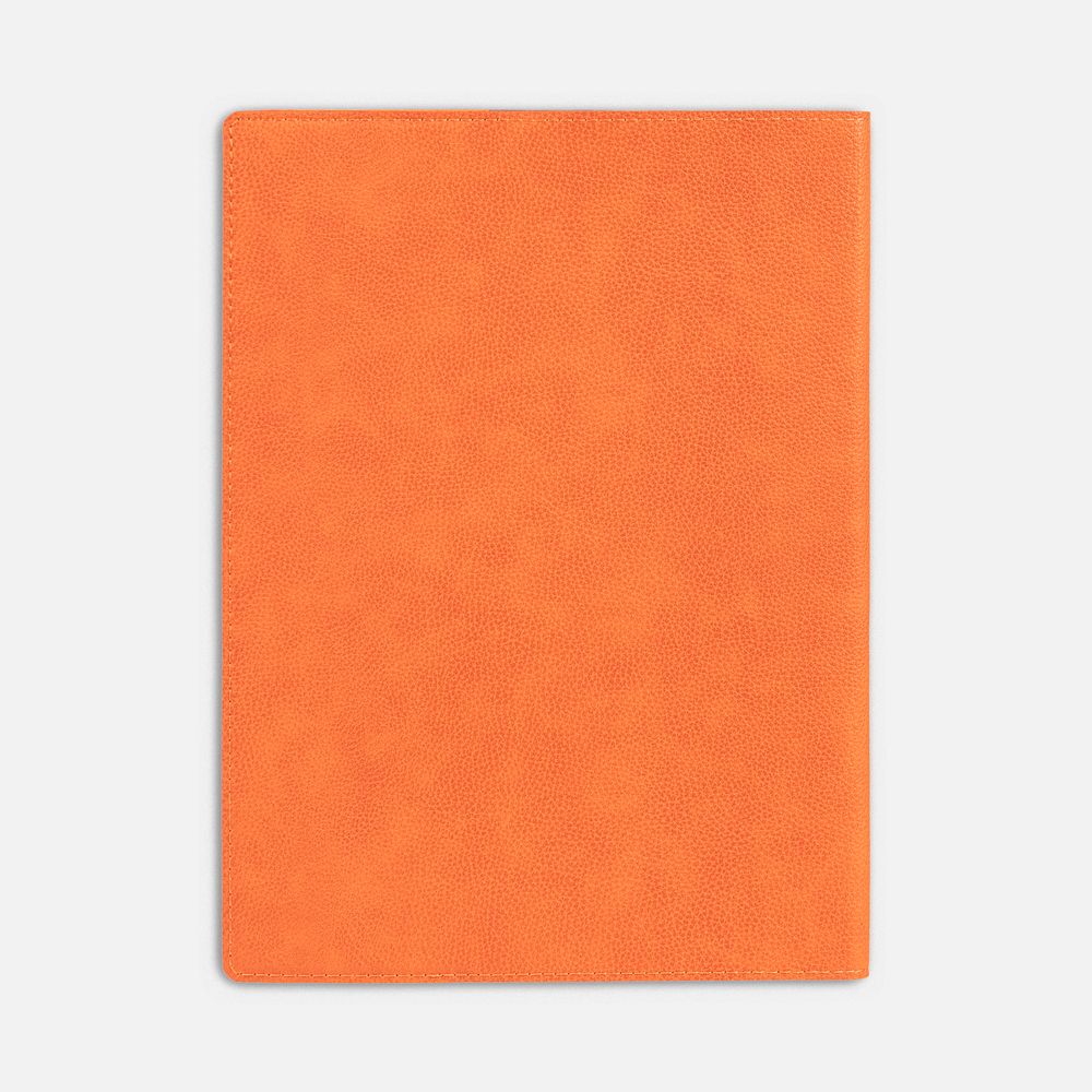 Ежедневник в суперобложке Brave Book, недатированный, оранжевый / Миниатюра WWW (1000)