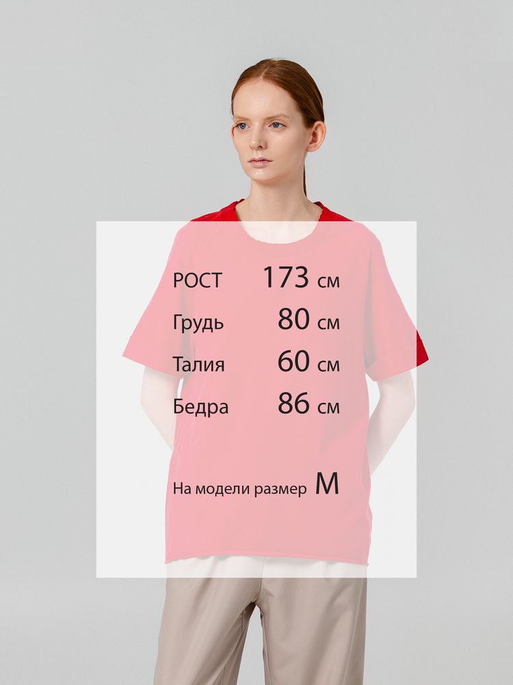 Футболка Vozduh, красная / Миниатюра WWW (1000)
