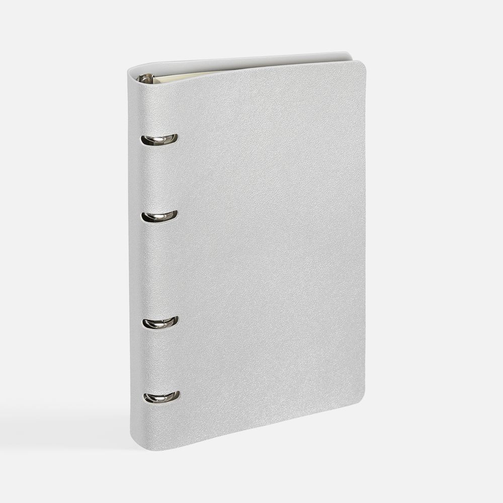 Ежедневник Ringo, недатированный, серебристый / Миниатюра WWW (1000)