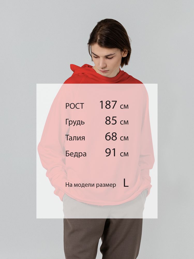 Худи Vozduh, красное / Миниатюра WWW (1000)