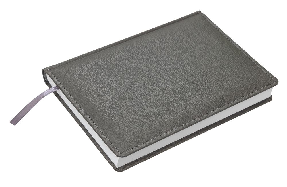 Ежедневник Sagrin, недатированный, темно-серый / Миниатюра WWW (1000)