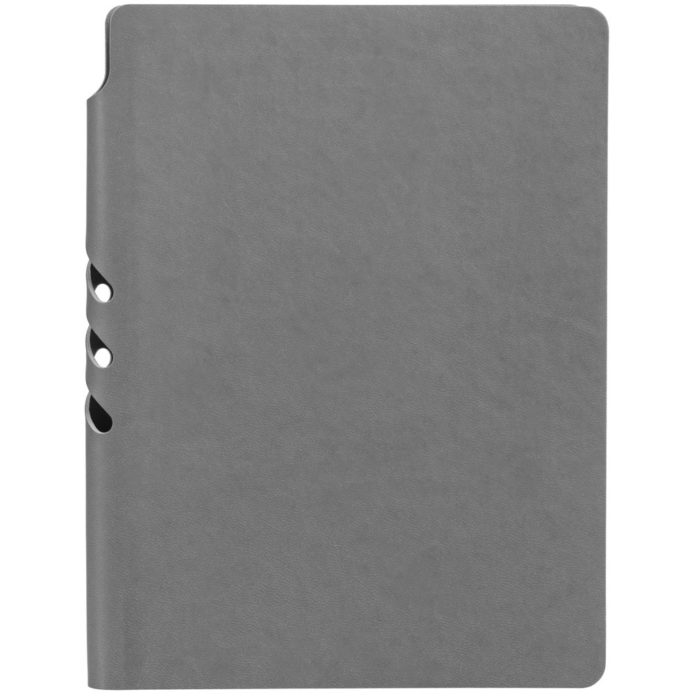 Ежедневник Flexpen Color, датированный, серый / Миниатюра WWW (1000)