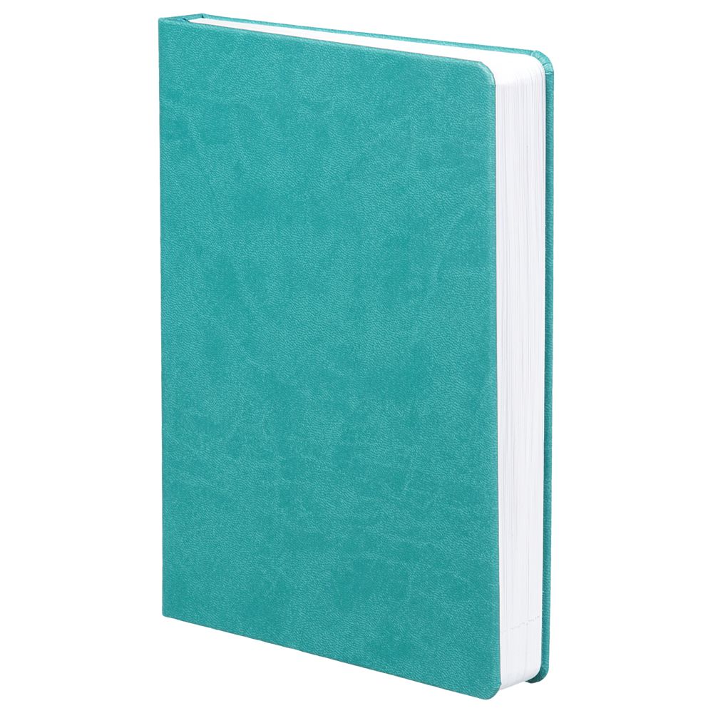Ежедневник Basis, датированный, бирюзовый / Миниатюра WWW (1000)