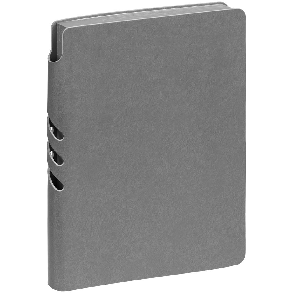 Ежедневник Flexpen Color, датированный, серый / Миниатюра WWW (1000)