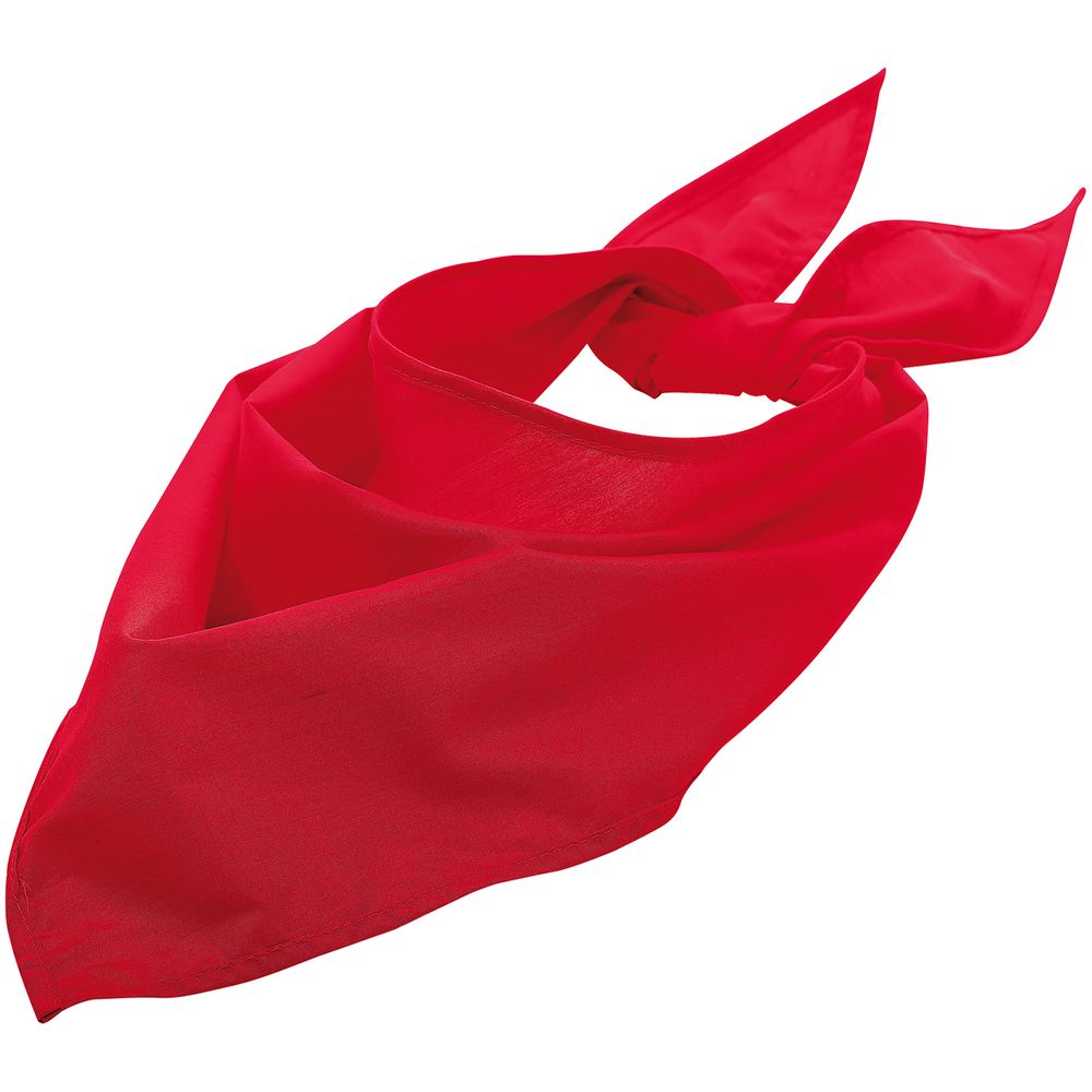 Шейный платок Bandana, красный / Миниатюра WWW (1000)
