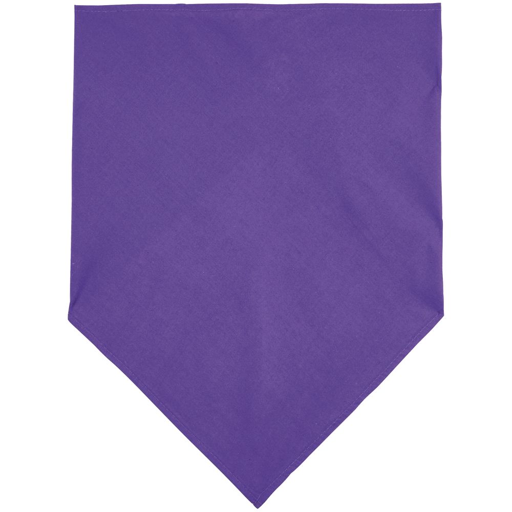 Шейный платок Bandana, темно-фиолетовый / Миниатюра WWW (1000)