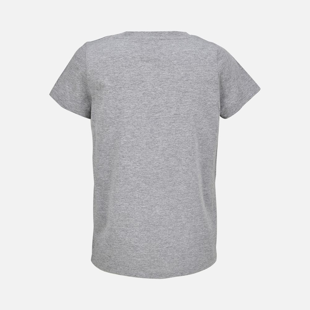 Футболка женская Regent Women с V-образным вырезом, серый меланж / Миниатюра WWW (1000)