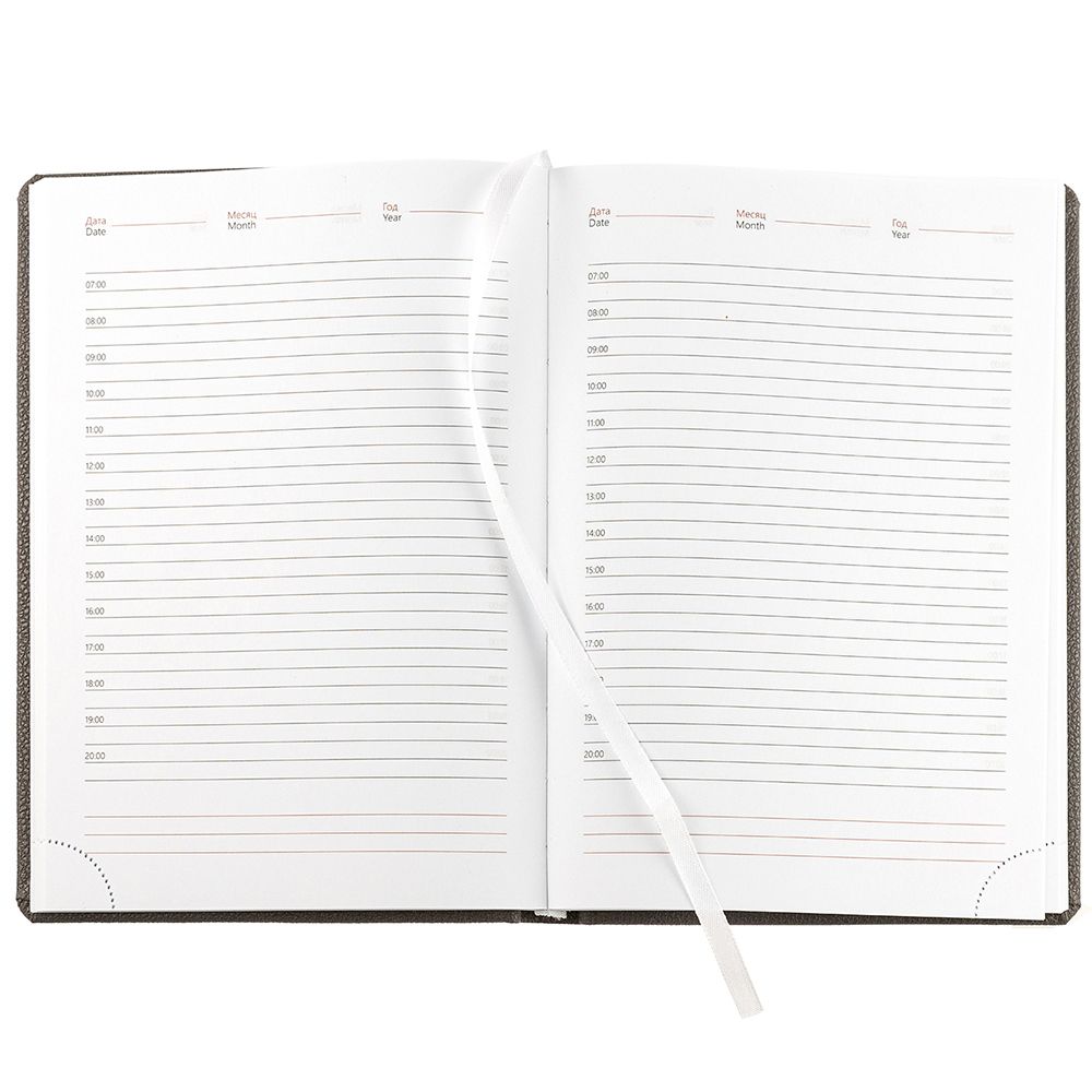 Ежедневник Sagrin, недатированный, темно-серый / Миниатюра WWW (1000)