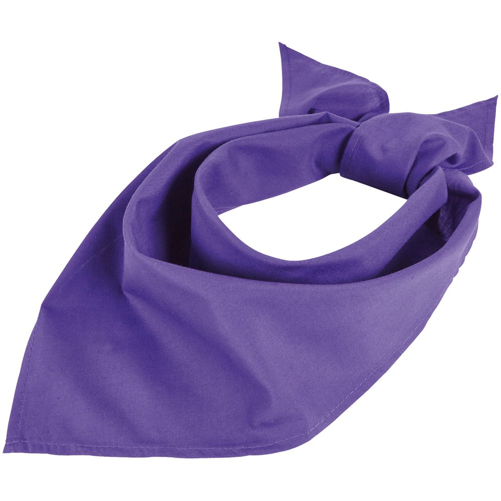 Шейный платок Bandana, темно-фиолетовый / Миниатюра WWW (1000)