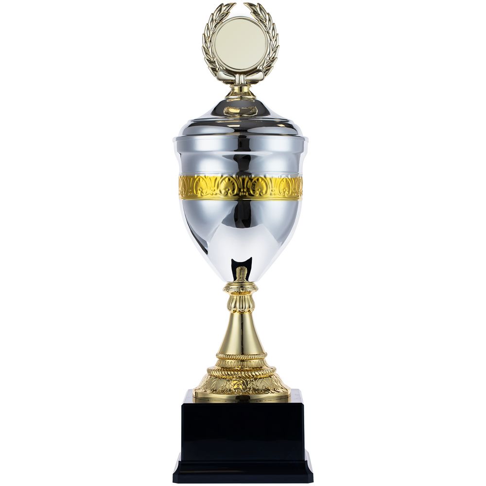 Кубок EnterPrize, серебристый / Миниатюра WWW (1000)