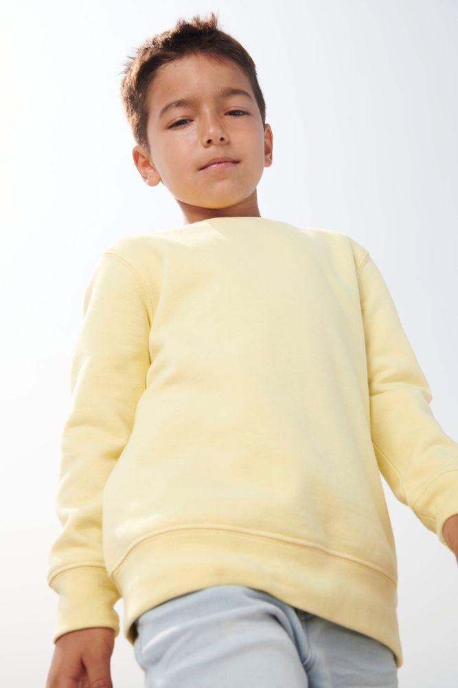Свитшот детский Columbia Kids, серый меланж / Миниатюра WWW (1000)