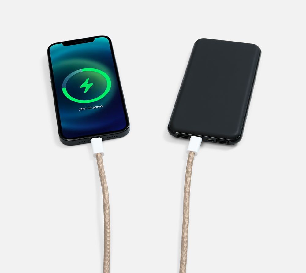 Кабель-ланьярд energyFlex Pro, серый / Миниатюра WWW (1000)