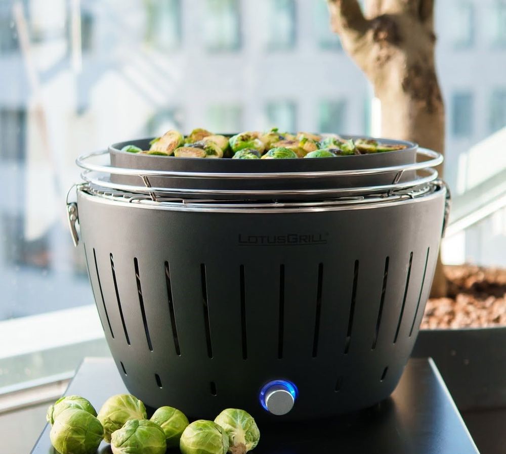 Угольный гриль Lotus Grill Classic, серый (антрацит) / Миниатюра WWW (1000)