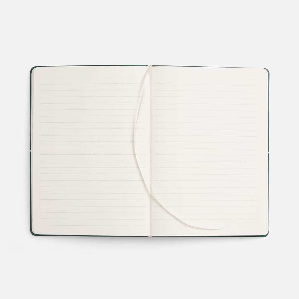 Ежедневник Kuka, недатированный, светло-зеленый / Миниатюра WWW (1000)