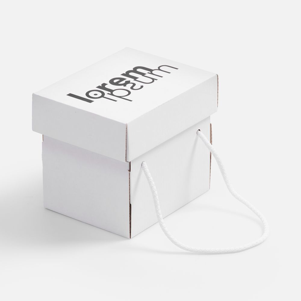 Коробка Kitbag, ver.2, белая / Миниатюра нанесения (1000)