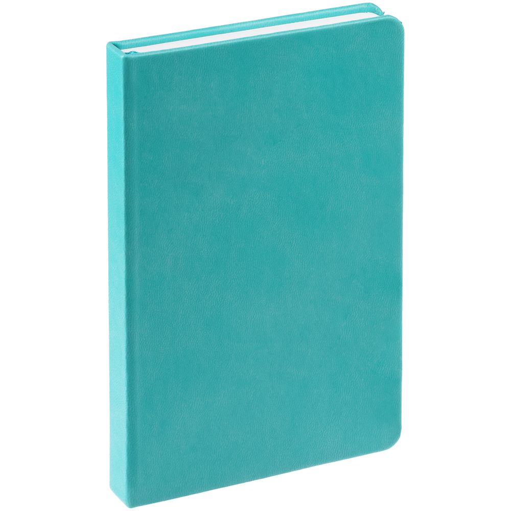 Ежедневник Base Mini, недатированный, бирюзовый / Миниатюра WWW (1000)