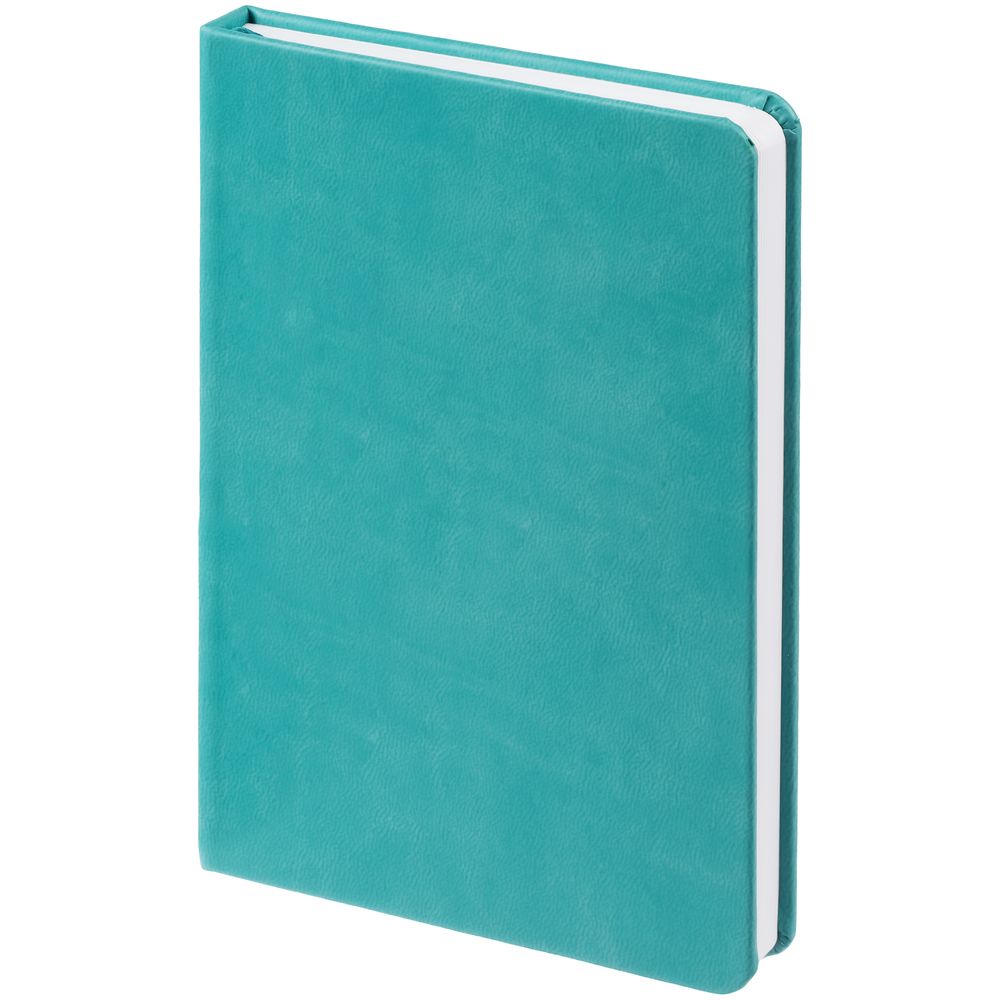 Ежедневник Base Mini, недатированный, бирюзовый / Миниатюра WWW (1000)