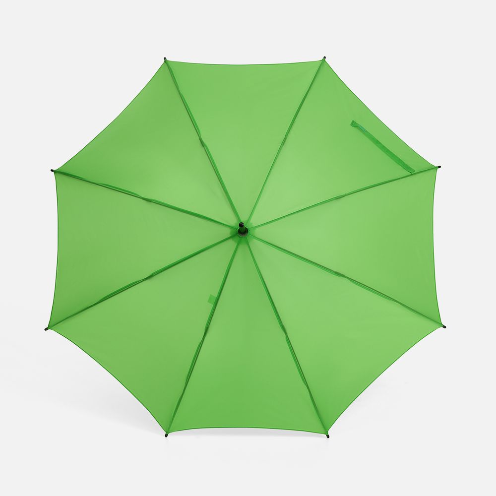 Зонт-трость Standard, зеленое яблоко / Миниатюра WWW (1000)