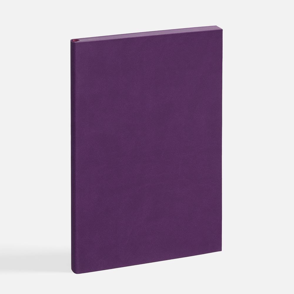 Ежедневник Flat, недатированный, фиолетовый, ver.2 / Миниатюра WWW (1000)