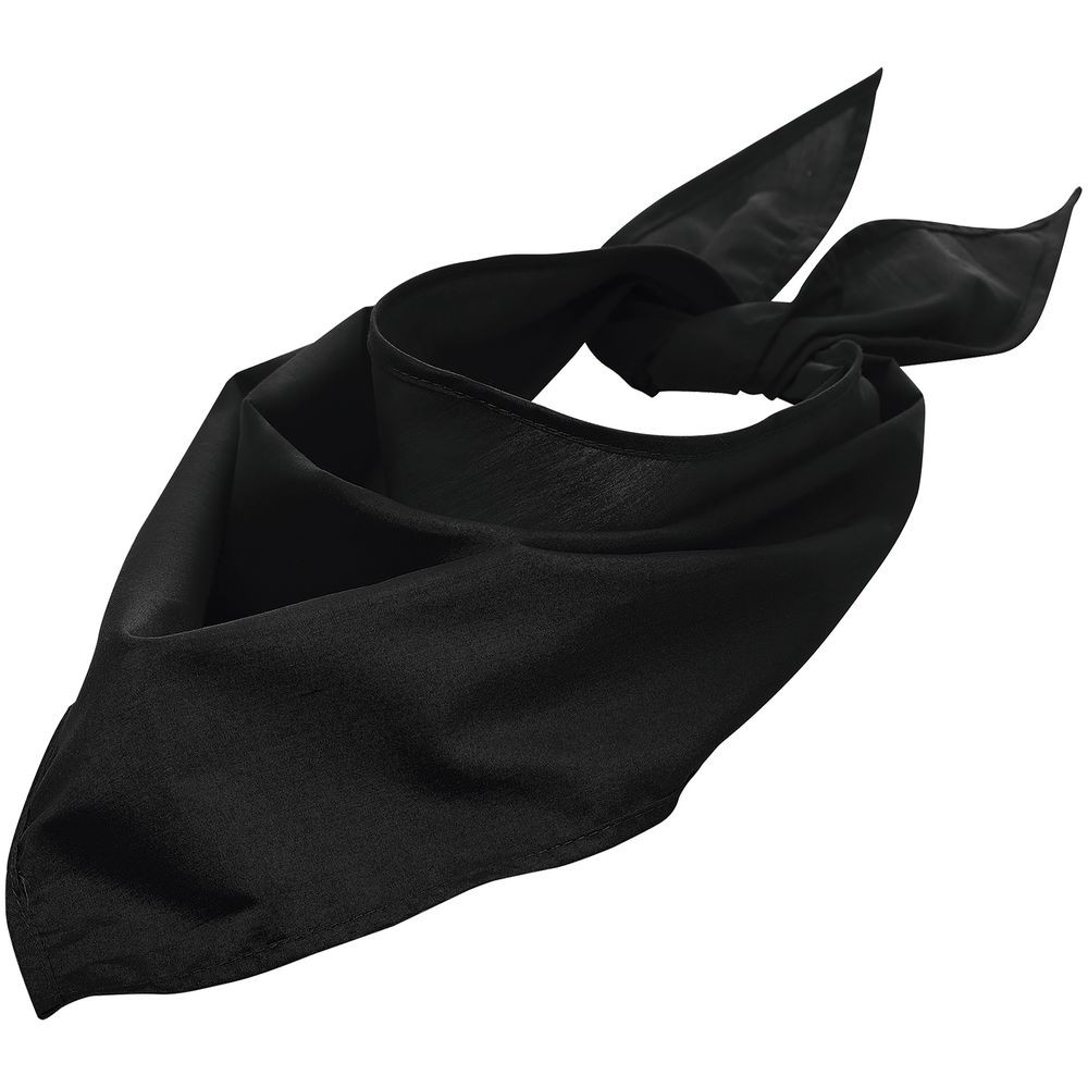 Шейный платок Bandana, черный / Миниатюра WWW (1000)