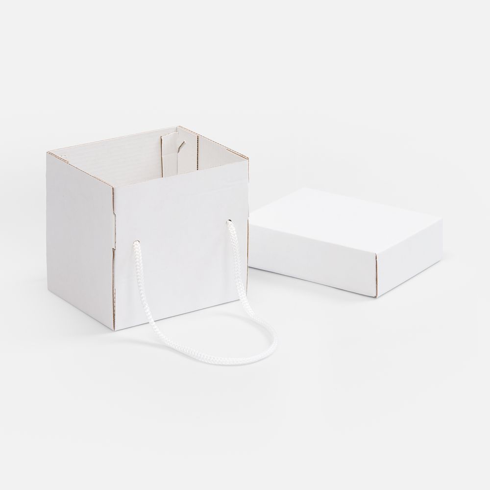 Коробка Kitbag, ver.2, белая / Миниатюра WWW (1000)