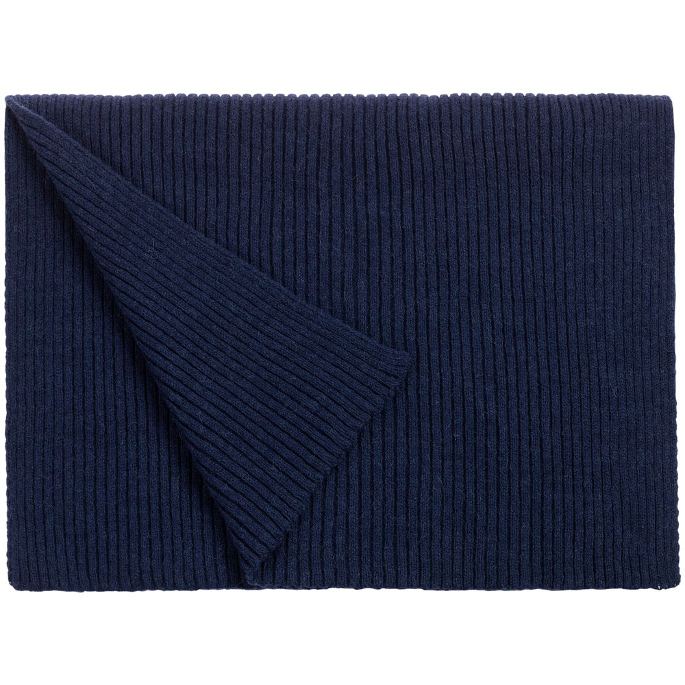 Шарф Alpine, синий / Миниатюра WWW (1000)