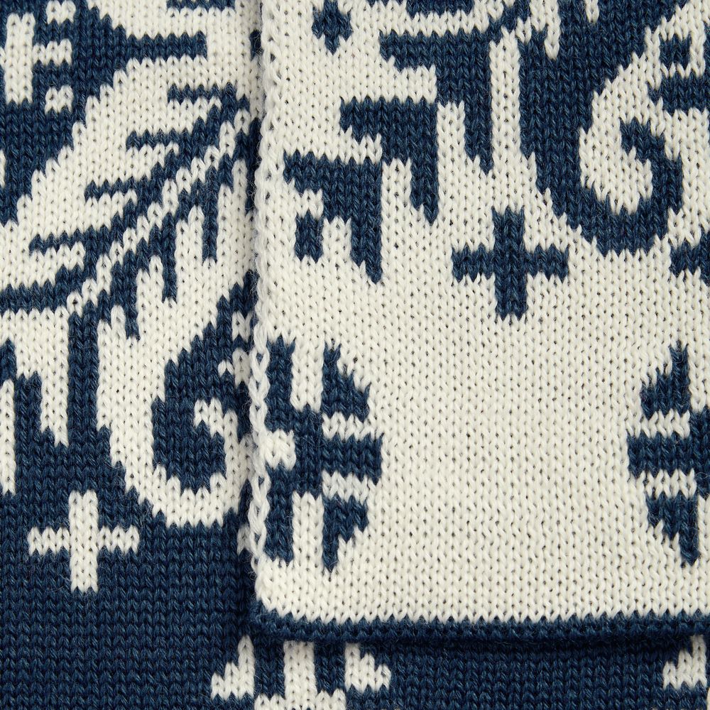 Шарф Wintertude L, синий с белым / Миниатюра WWW (1000)