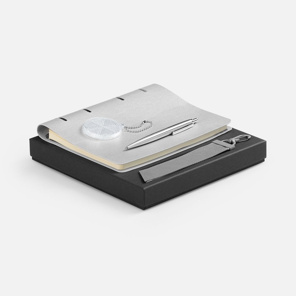 Набор Ringo, серебристый / Миниатюра WWW (1000)