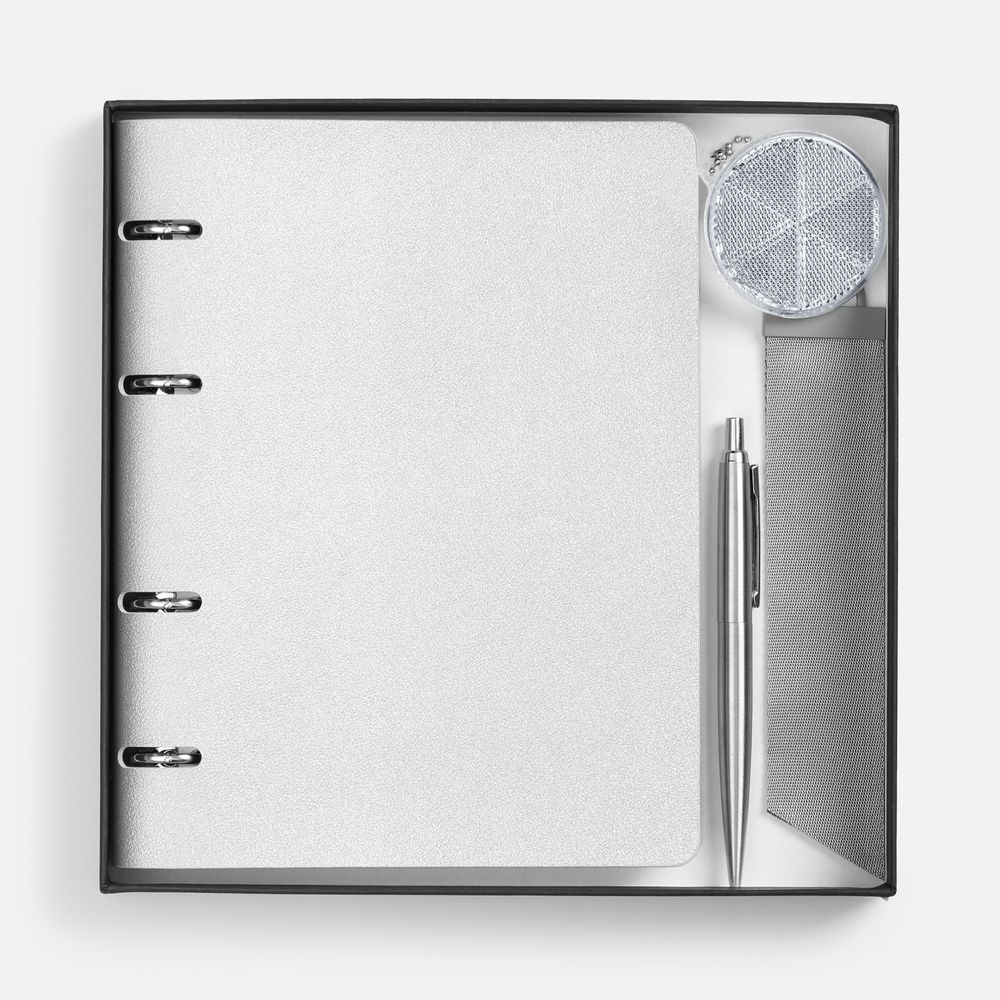 Набор Ringo, серебристый / Миниатюра WWW (1000)