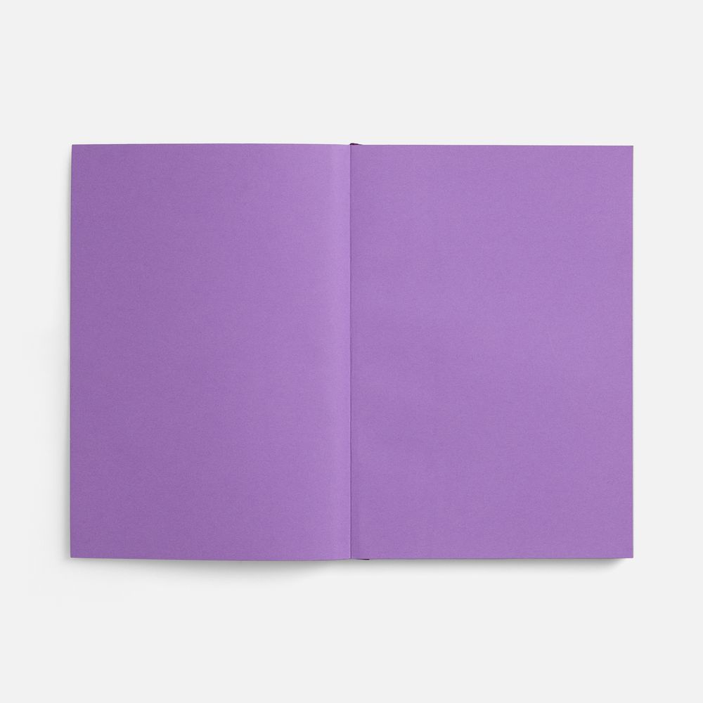 Ежедневник Flat, недатированный, фиолетовый, ver.2 / Миниатюра WWW (1000)