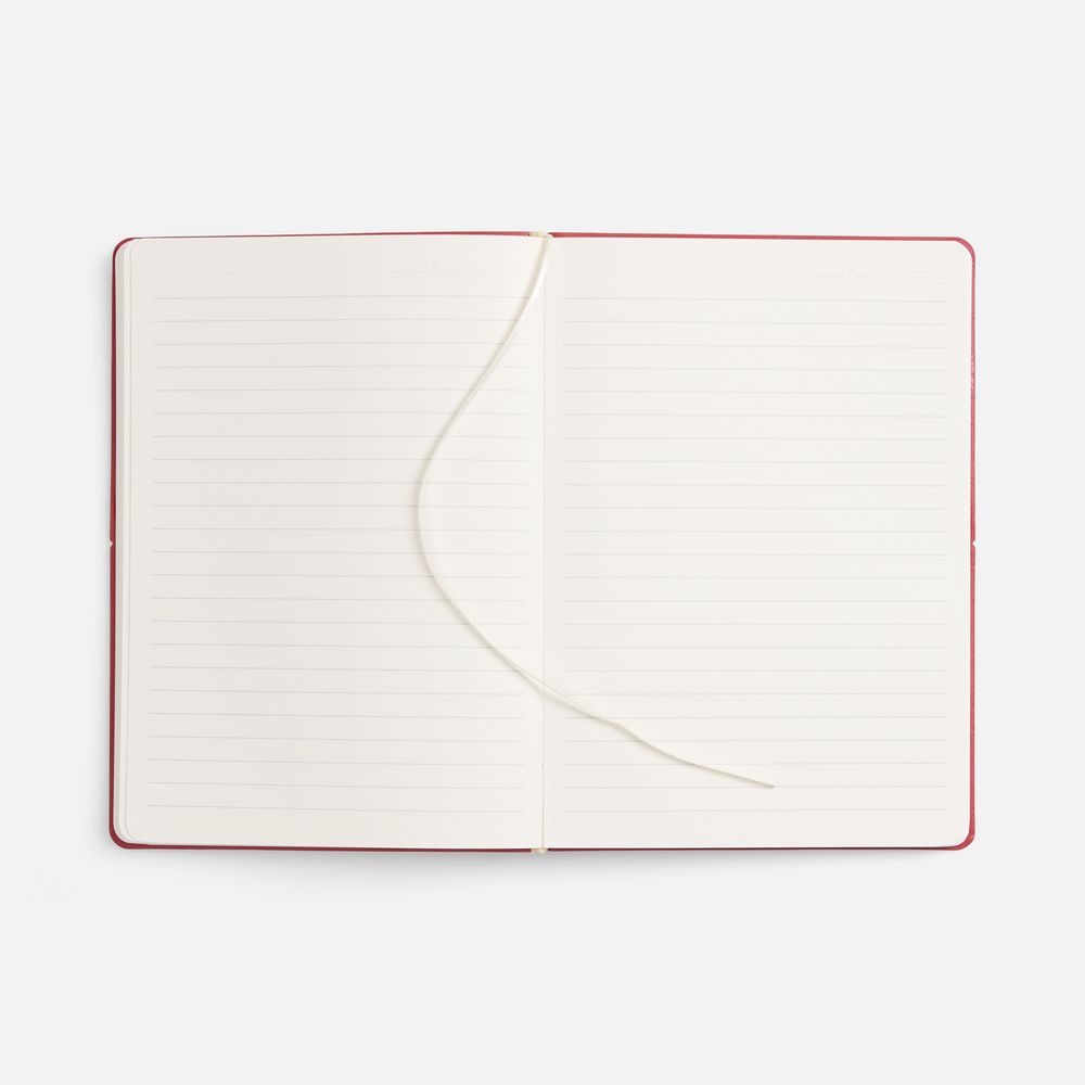 Ежедневник Kuka, недатированный, ver.2, красный / Миниатюра WWW (1000)