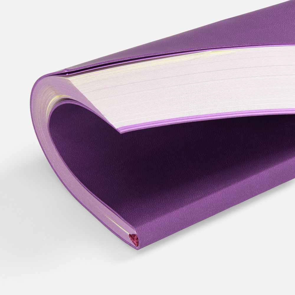 Ежедневник Flat, недатированный, фиолетовый, ver.2 / Миниатюра WWW (1000)