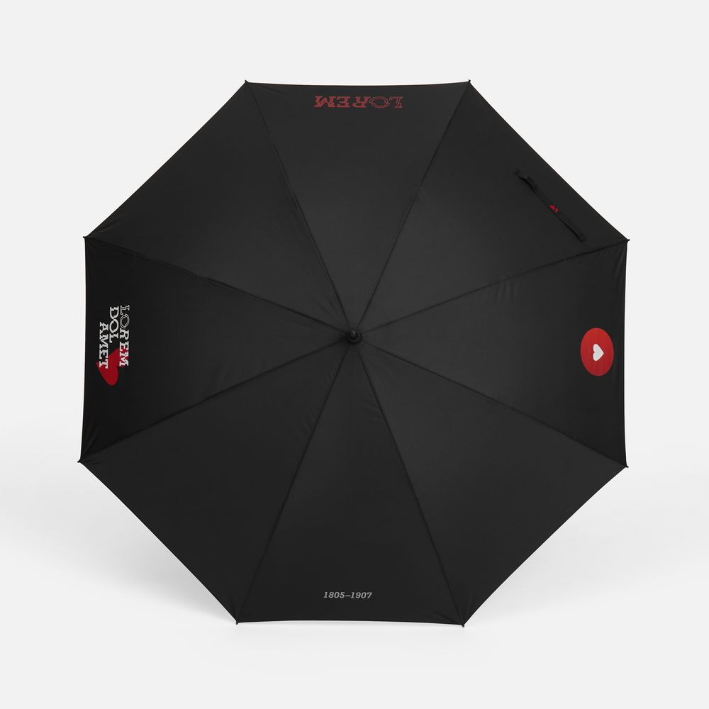 Зонт-трость Rainzee, черный / Миниатюра нанесения (1000)