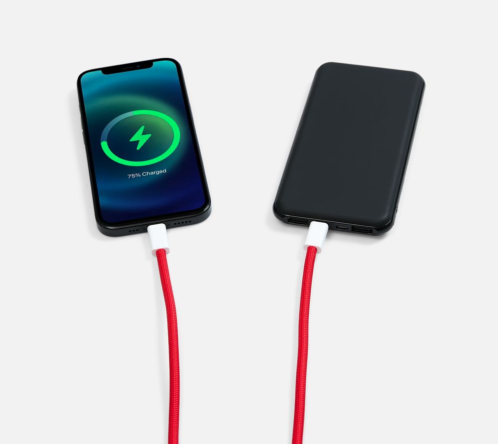 Кабель-ланьярд energyFlex Pro, красный / Миниатюра WWW (1000)