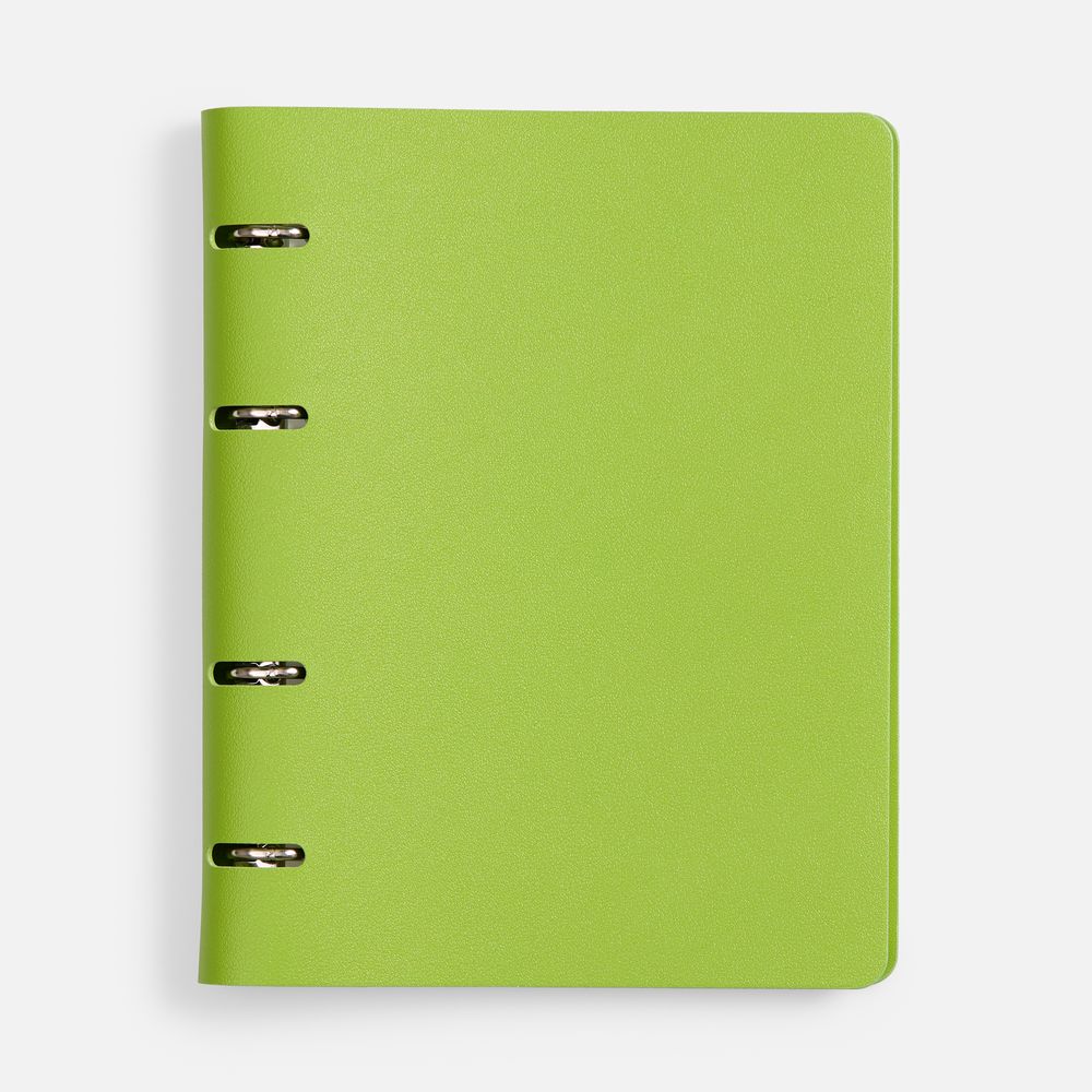 Набор Ringo, зеленый / Миниатюра WWW (1000)