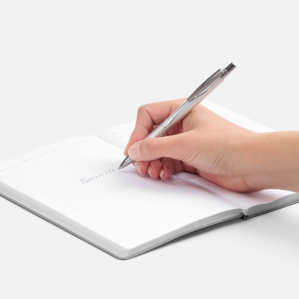 Ручка шариковая SparkLine, серебристая / Миниатюра WWW (1000)