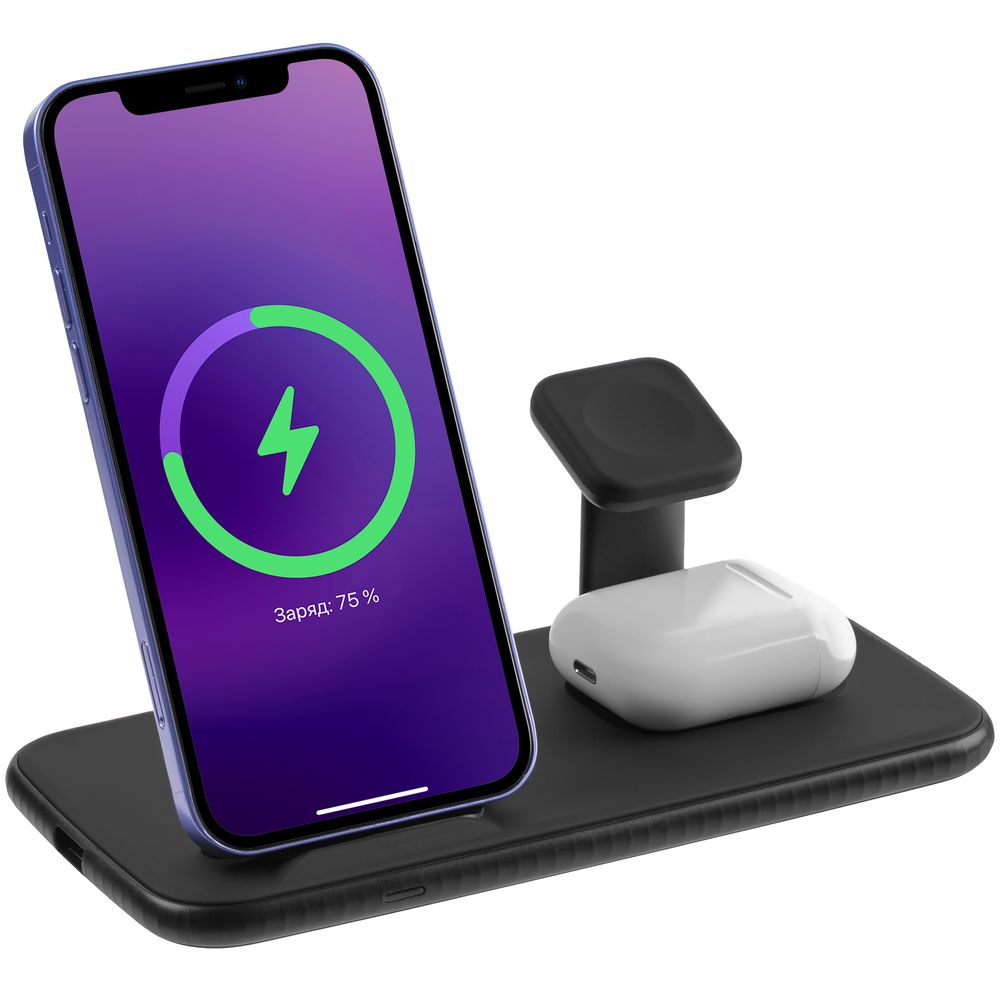 Зарядная станция Smart Nest, черная / Миниатюра WWW (1000)