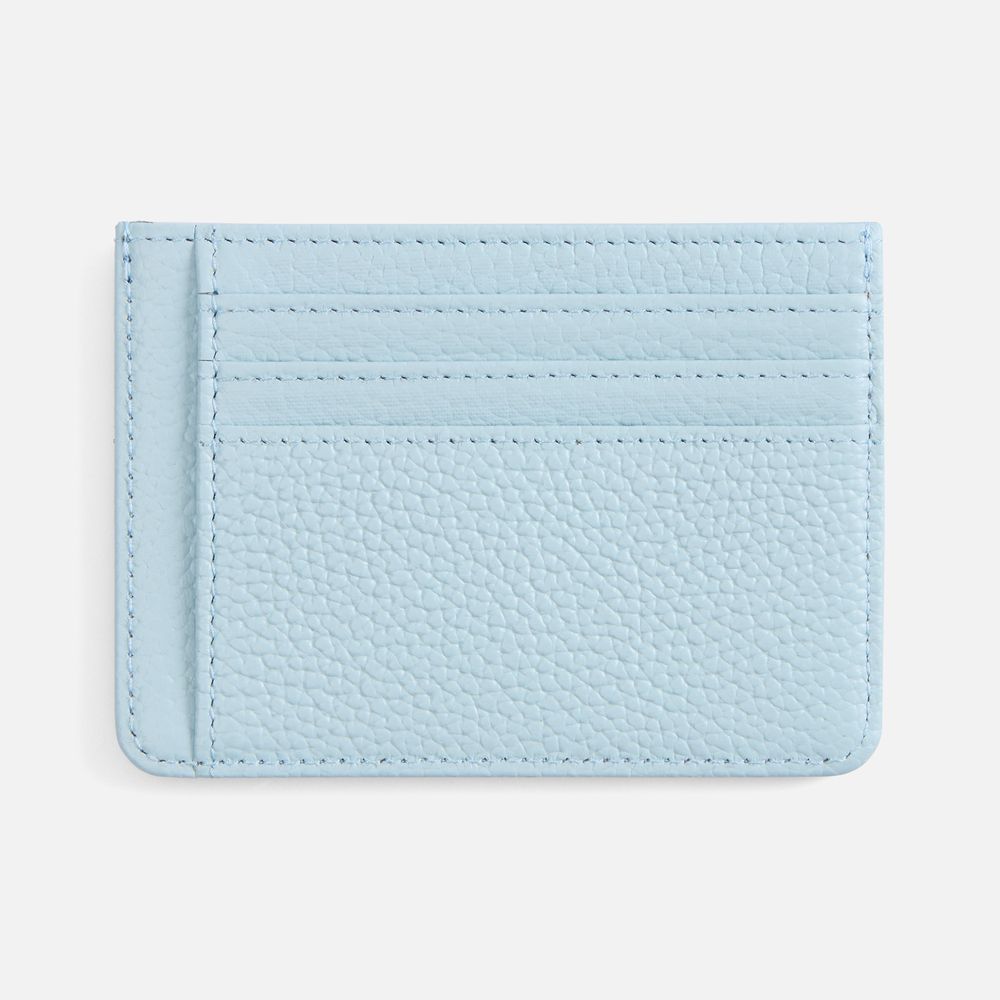 Чехол для карт Unison, голубой / Миниатюра WWW (1000)