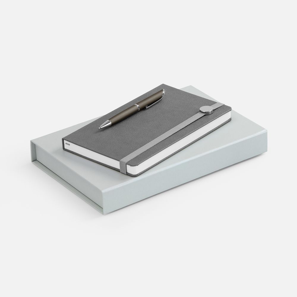 Набор Coach, серый / Миниатюра WWW (1000)