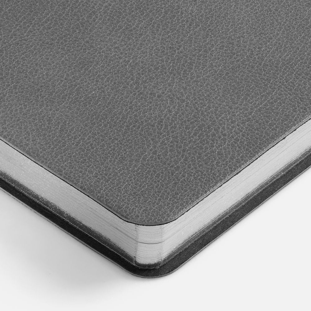 Ежедневник Petrus, недатированный, серый / Миниатюра WWW (1000)