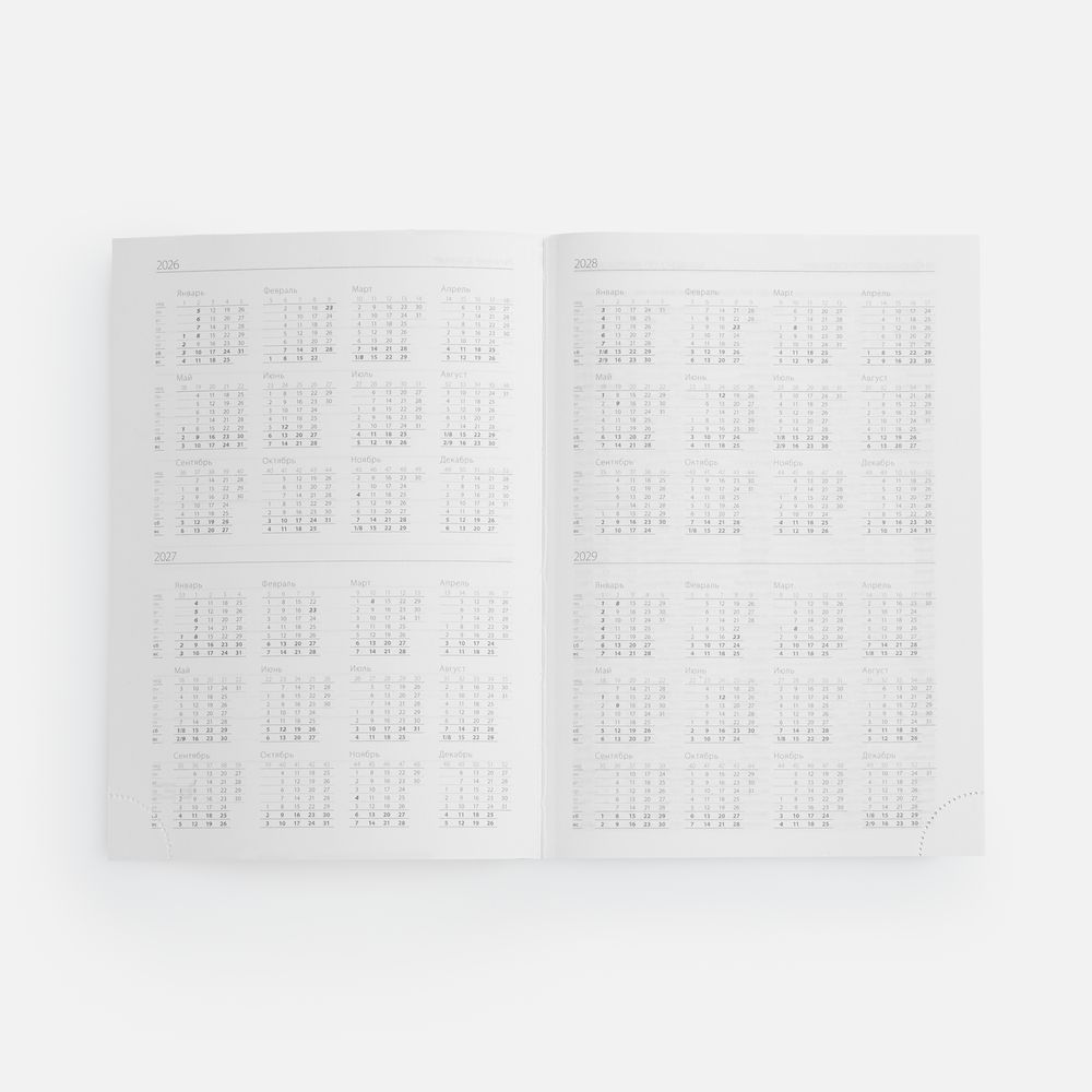 Ежедневник Favor Metal, недатированный, черный / Миниатюра WWW (1000)