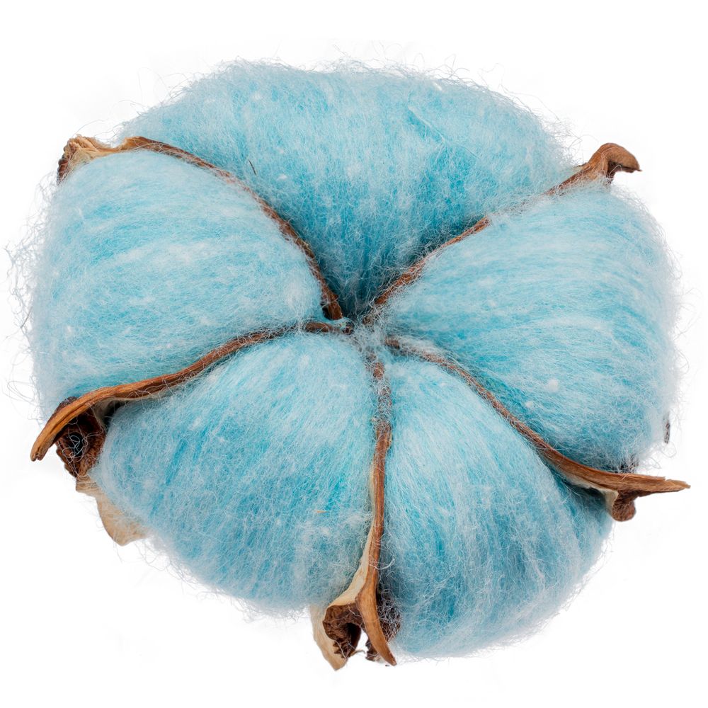 Цветок хлопка Cotton, голубой / Миниатюра WWW (1000)