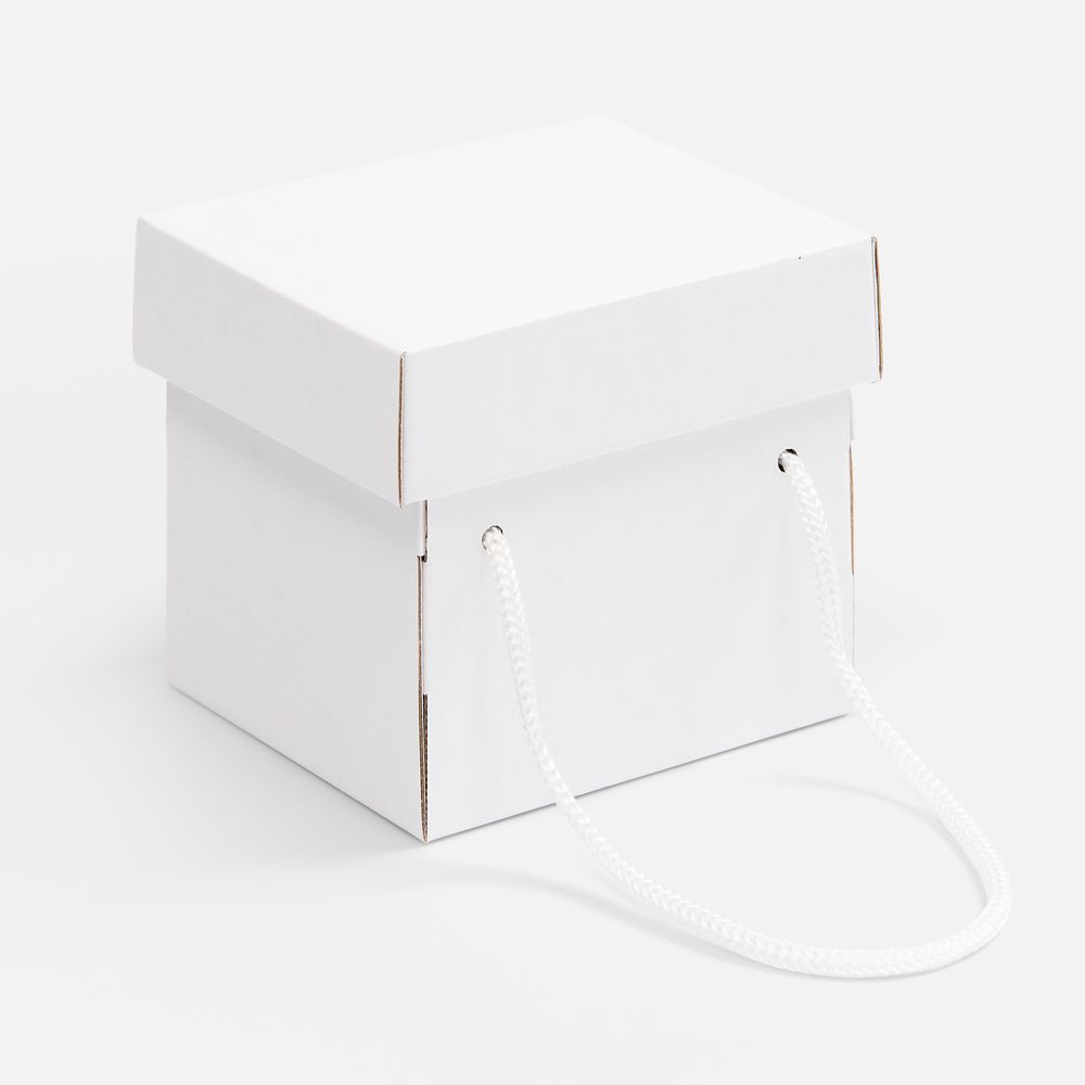 Коробка Kitbag, ver.2, белая / Миниатюра WWW (1000)