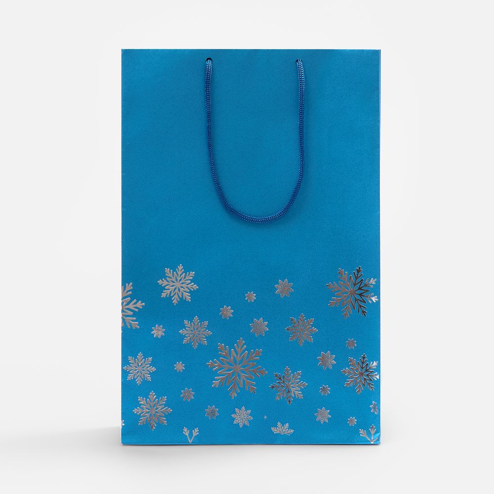 Пакет Wintry, синий / Миниатюра WWW (1000)
