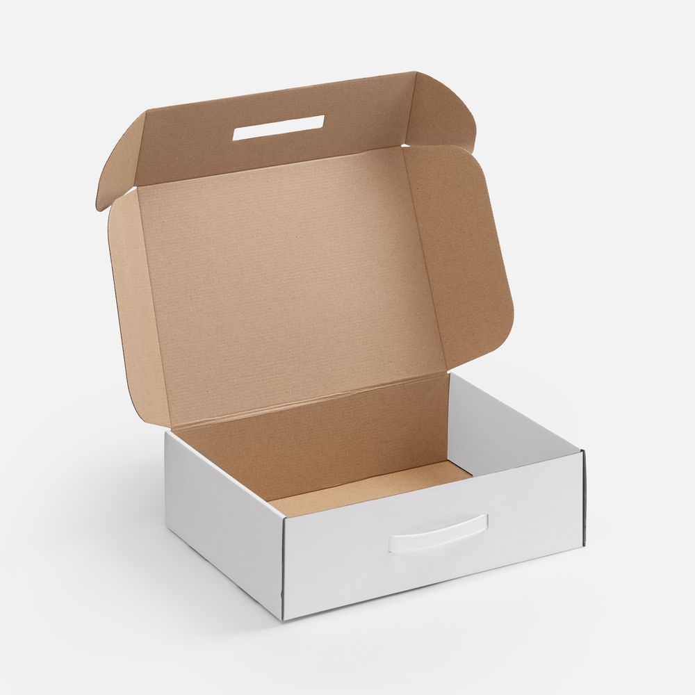 Коробка Light Case, ver.2, белая / Миниатюра WWW (1000)