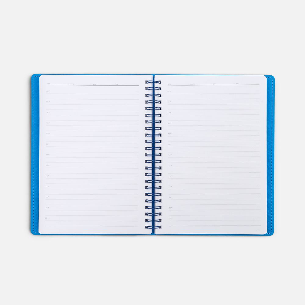Ежедневник Spring Shall, недатированный, синий / Миниатюра WWW (1000)