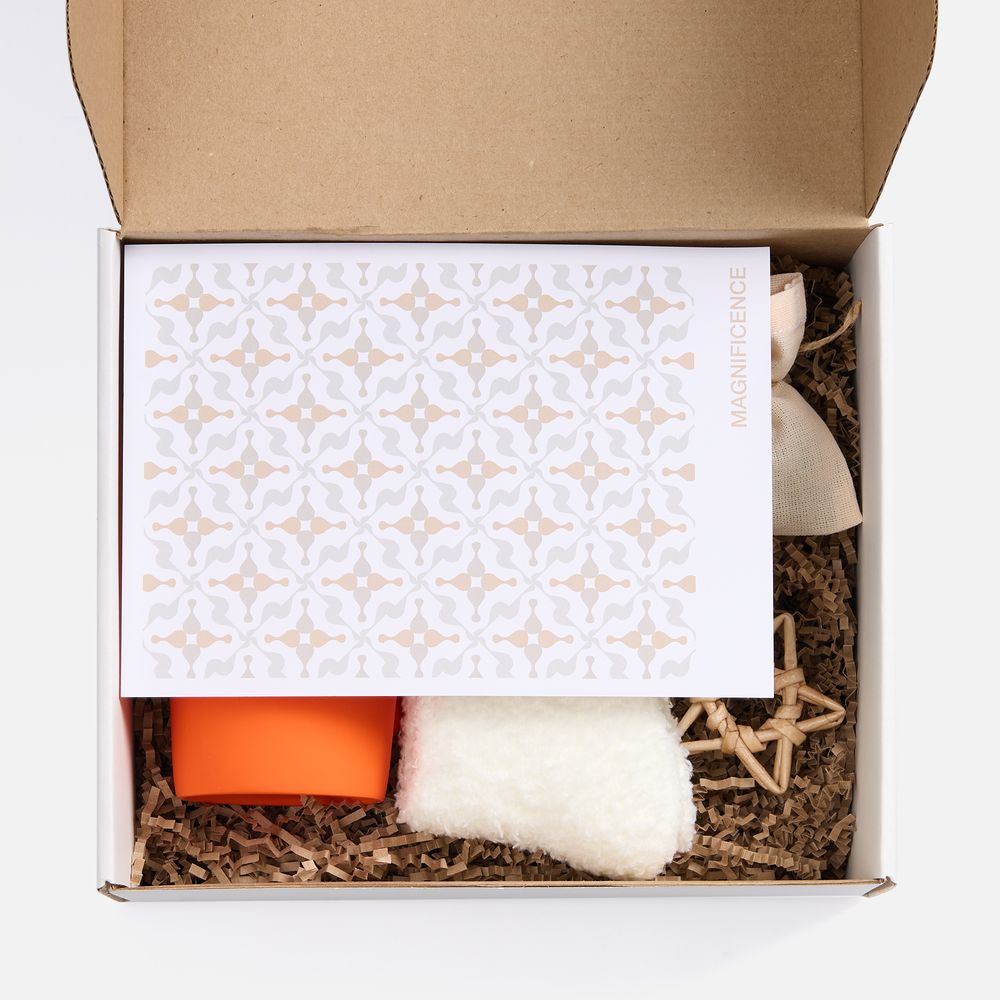 Набор Sockshire, оранжевый / Миниатюра WWW (1000)