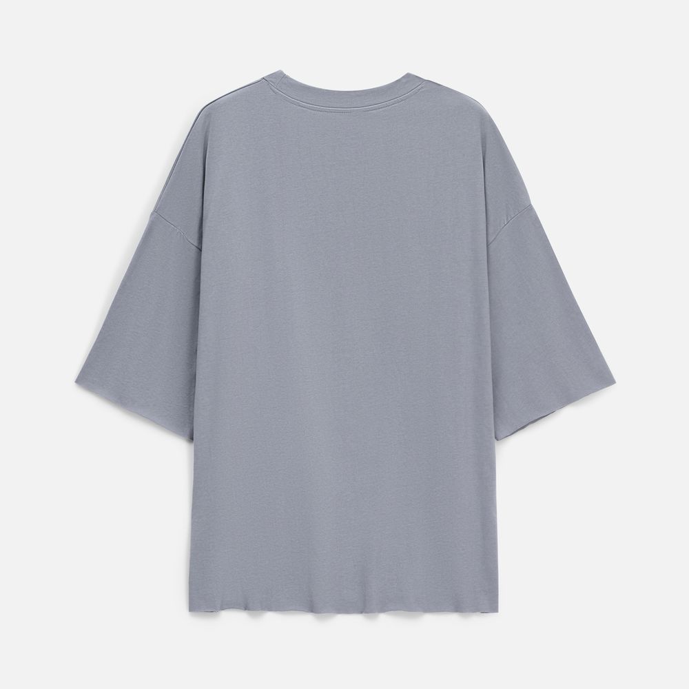 Футболка унисекс T1, серая / Миниатюра WWW (1000)