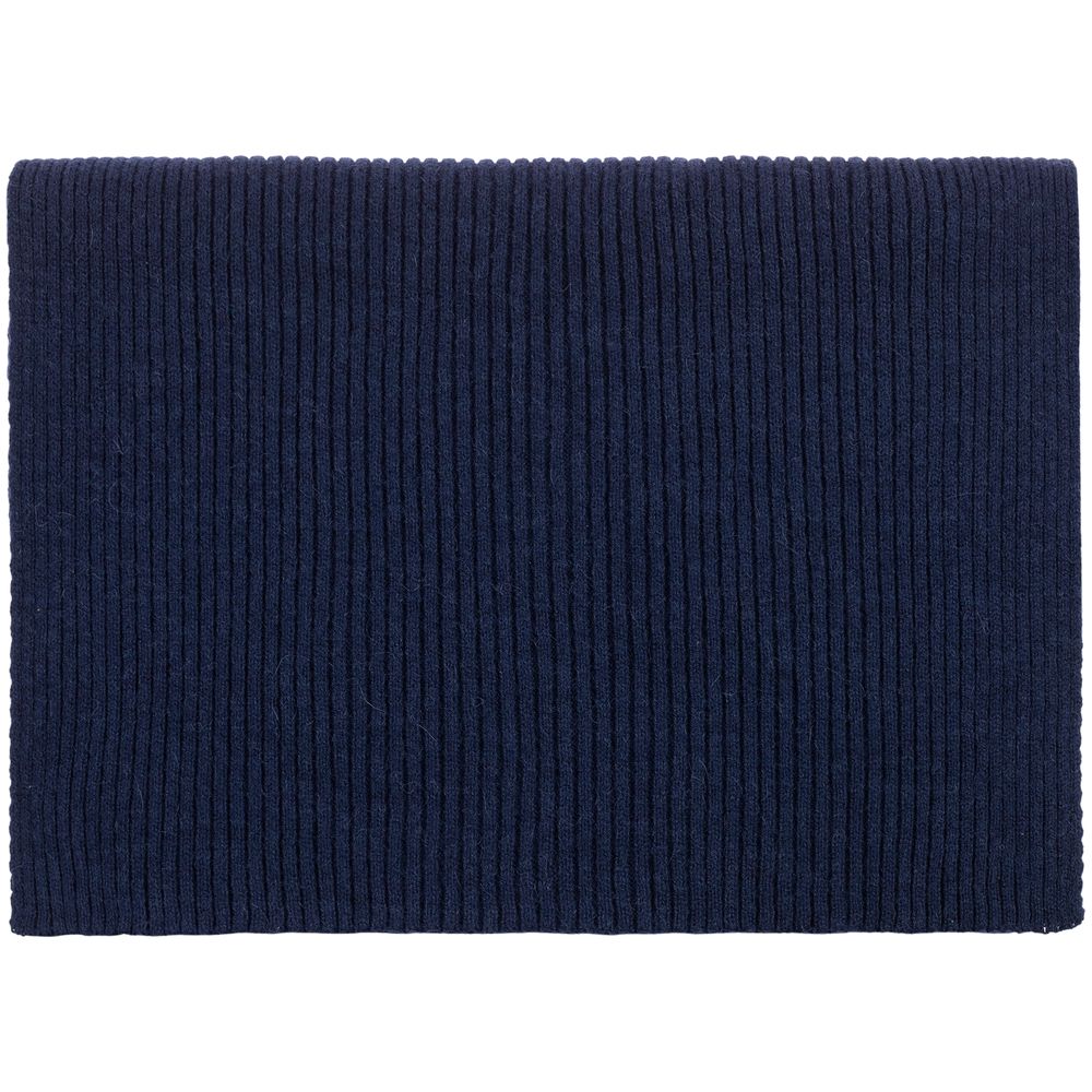 Шарф Alpine, синий / Миниатюра WWW (1000)