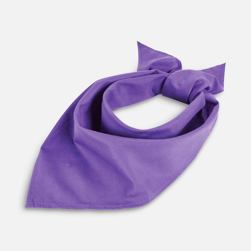 Шейный платок Bandana, темно-фиолетовый / Миниатюра WWW (1000)